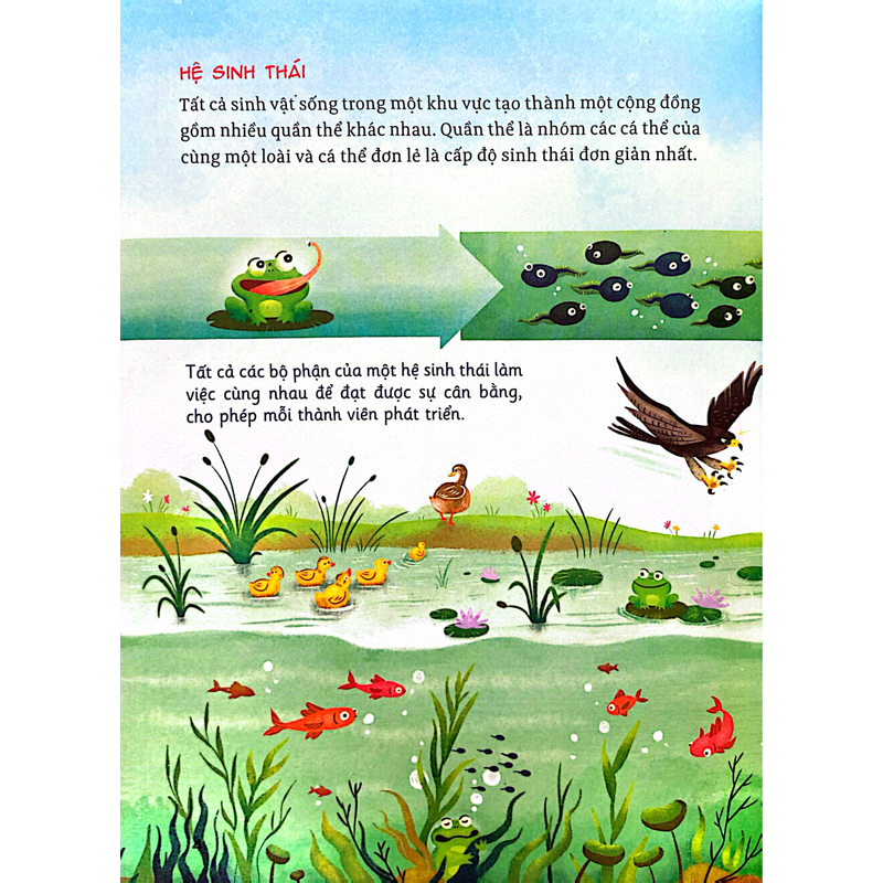 Hành Trình Khám Phá-Hệ Sinh Thái