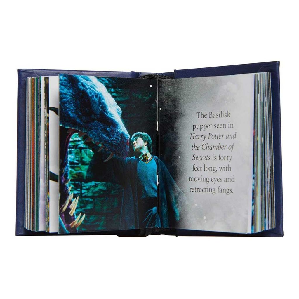 Harry Potter: The Dark Arts (Tiny Book)