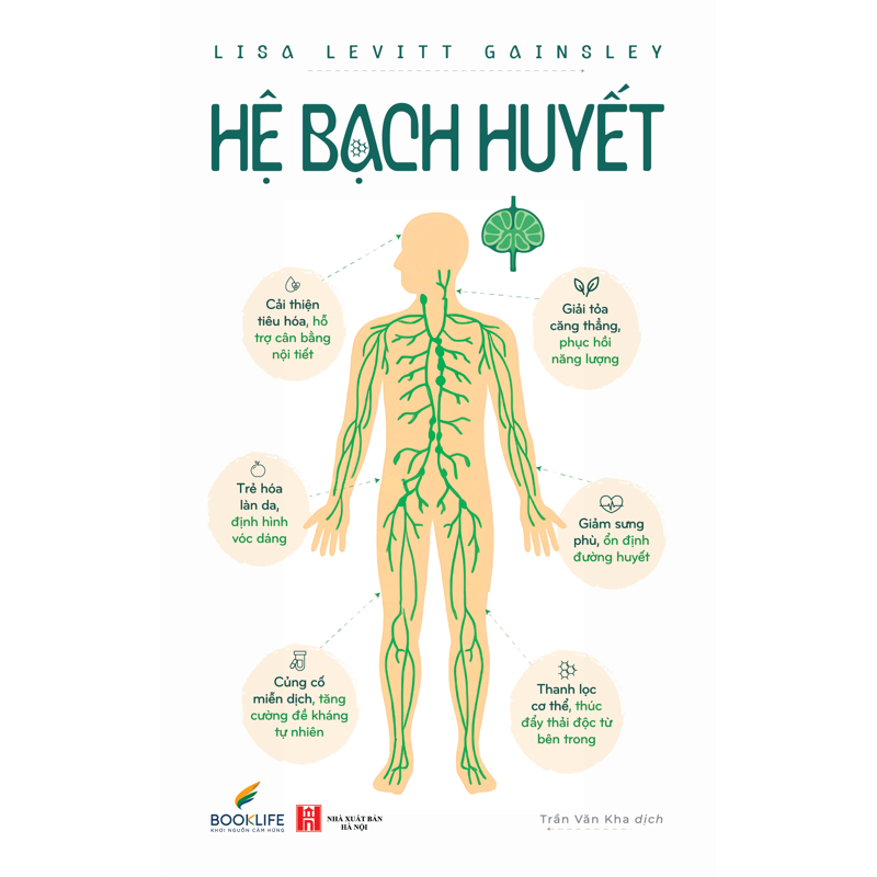 Hệ Bạch Huyết