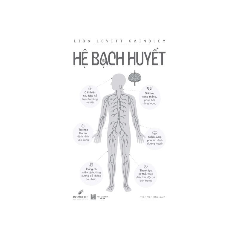 Hệ Bạch Huyết
