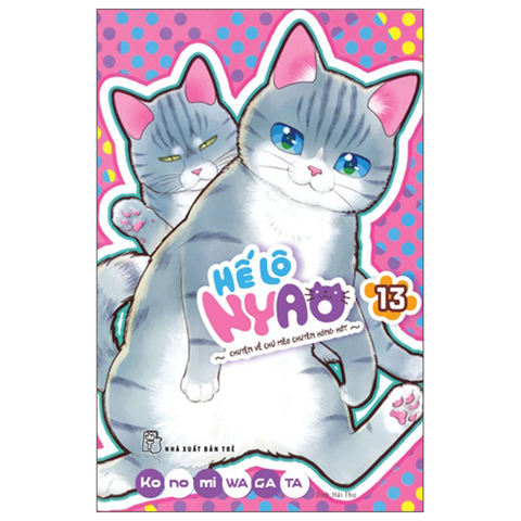 Helo Nyao T13