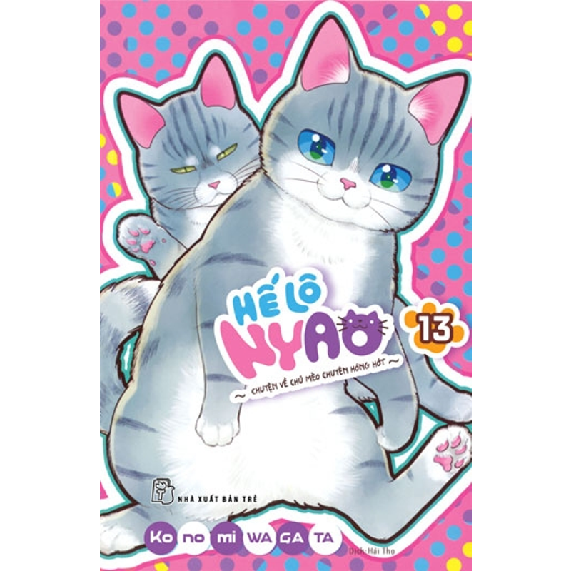 Helo Nyao T13