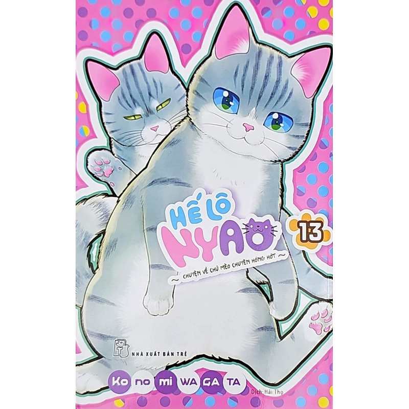 Helo Nyao T13