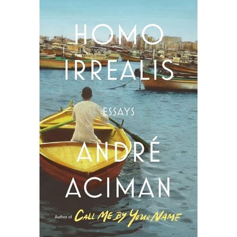 Homo Irrealis : Essays