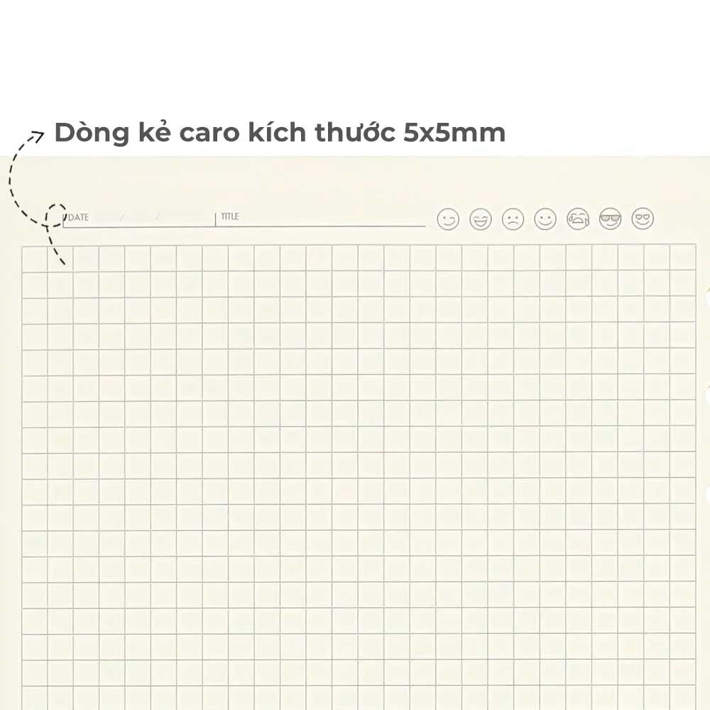 Hồng Hà Ruột Bìa Còng B5, 160TR, ĐL 100/76-78% Caro 3022