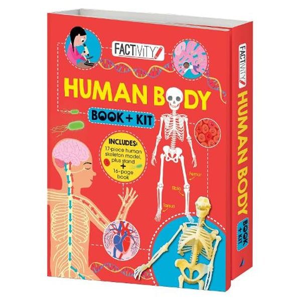 Human Body