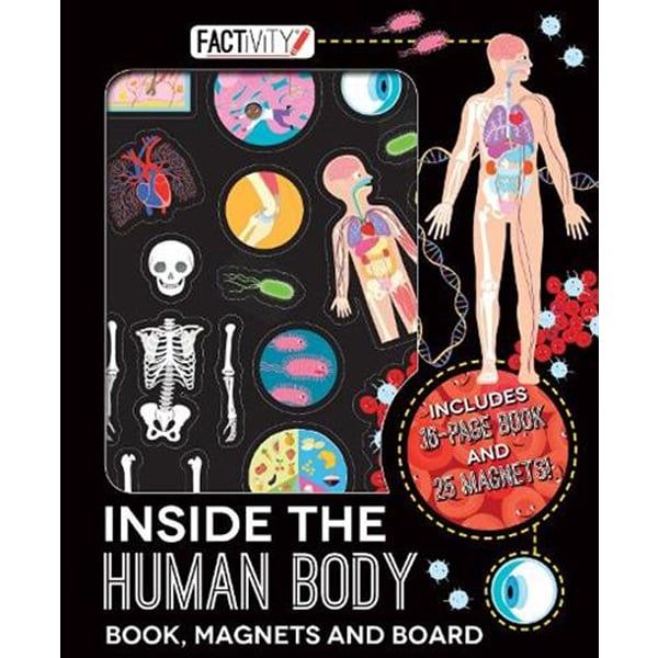 Human Body