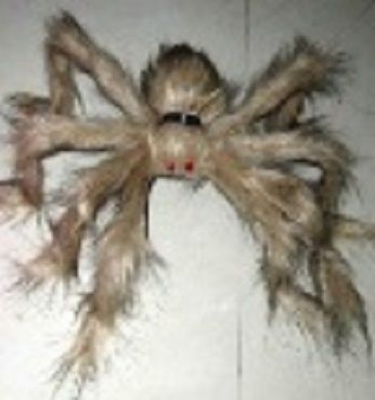 Dây Treo Mạng Nhện Nhiều Màu 75CM  YL-22