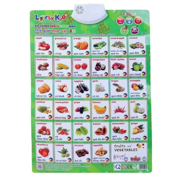 Bảng Điện Tử Thông Minh - Thế Giới Thực Vật LNV