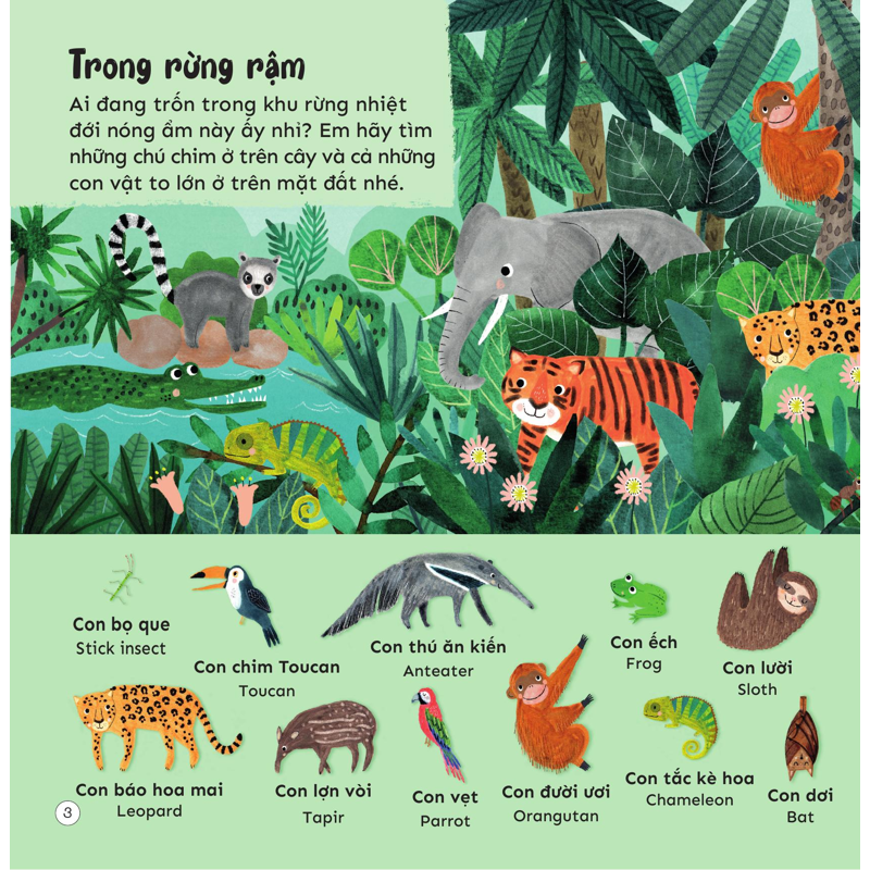 Khám Phá 100++ Loài Động Vật Kỳ Thú