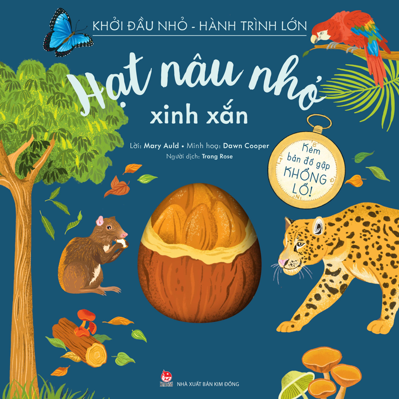 Khởi Đầu Nhỏ - Hành Trình Lớn - Hạt Nâu Nhỏ Xinh Xắn