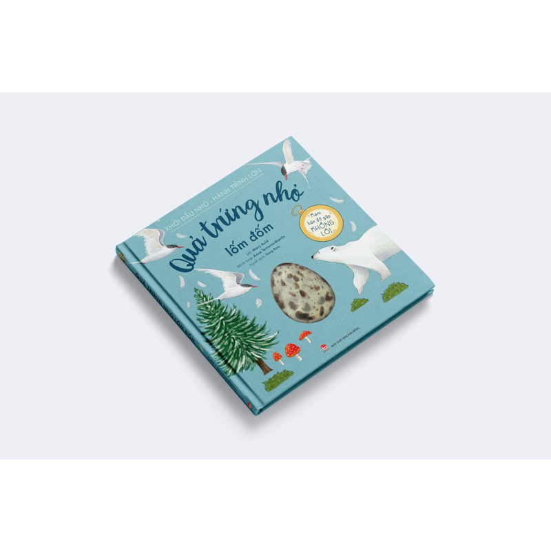 Khởi Đầu Nhỏ - Hành Trình Lớn - Quả Trứng Nhỏ Lốm Đốm