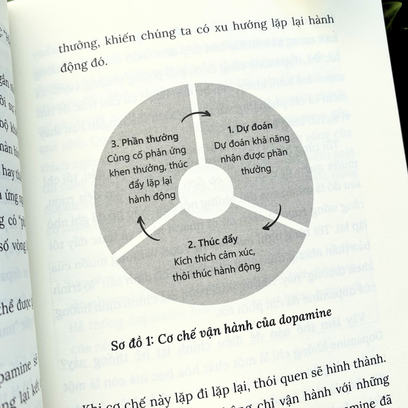 Kích Hoạt Dopamine