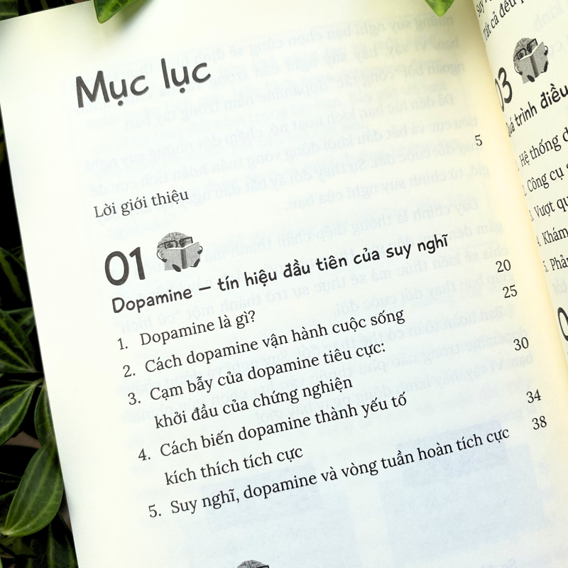 Kích Hoạt Dopamine