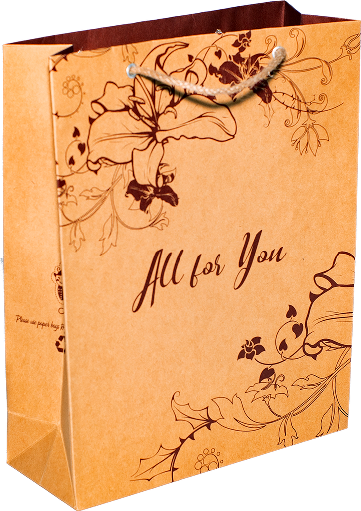 Túi Kraft Quay Bố Số 3-32X25X9.5Cm