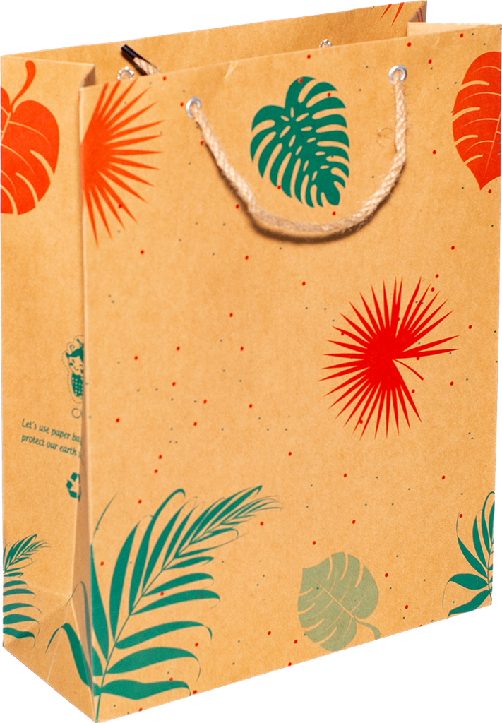 Túi Kraft Quay Bố Số 3-32X25X9.5Cm