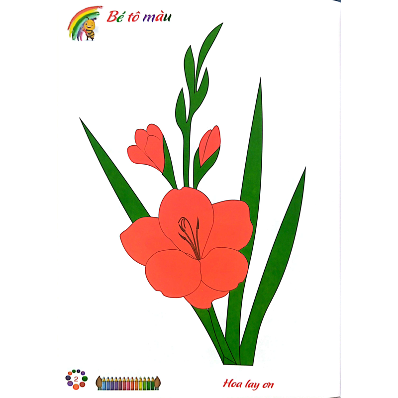 Bé Tô Màu Mẫu Giáo - Hoa