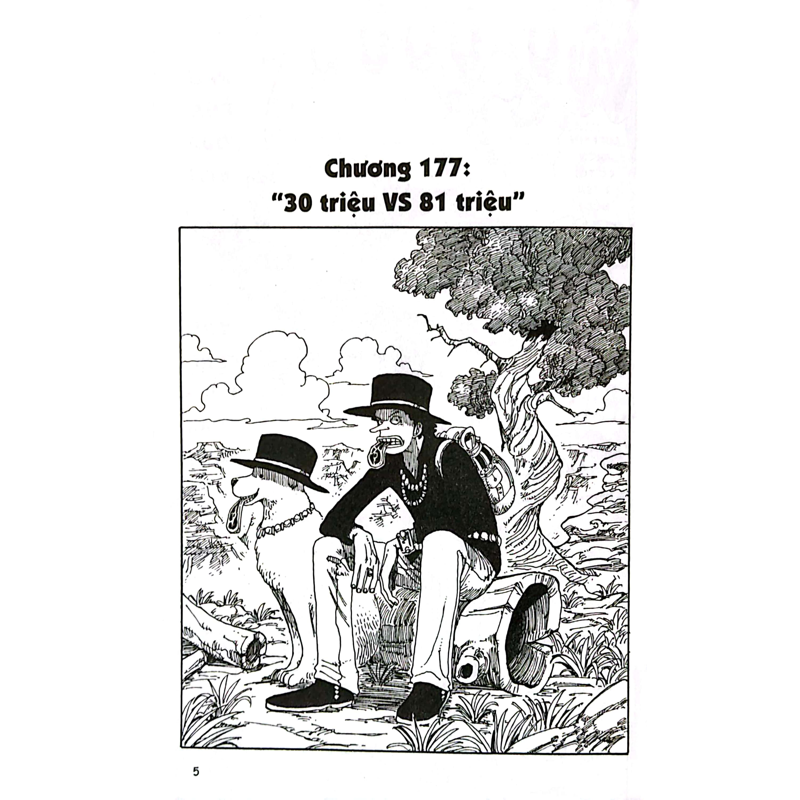 One Piece T20