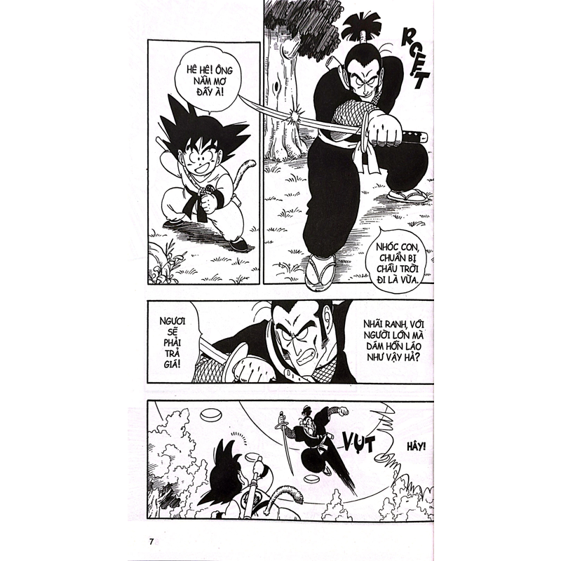Dragon Ball Tập 6