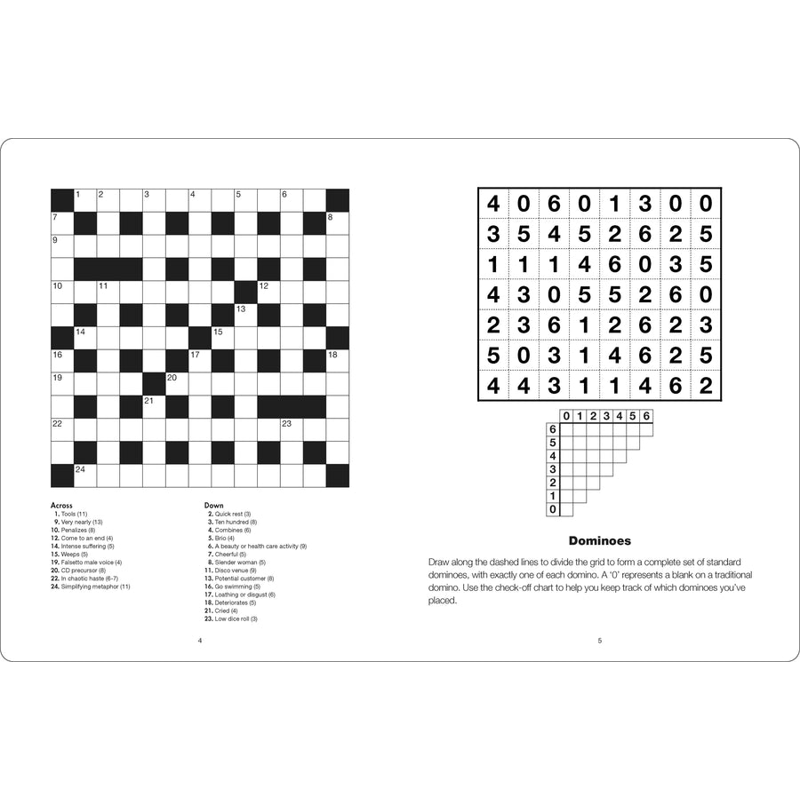 Large Print Puzzle Book - Brain Training