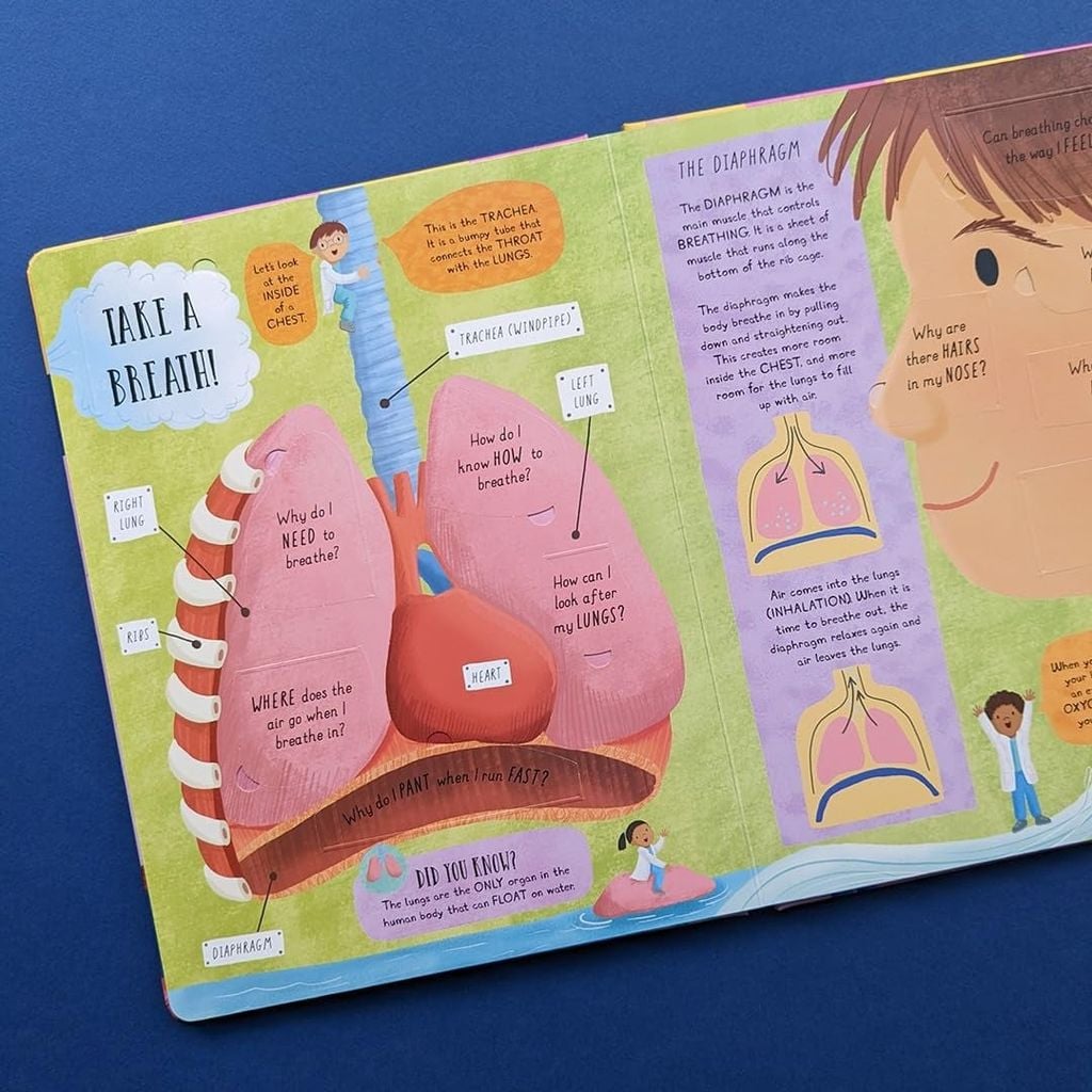Large Q&A Flap Book - Human Body