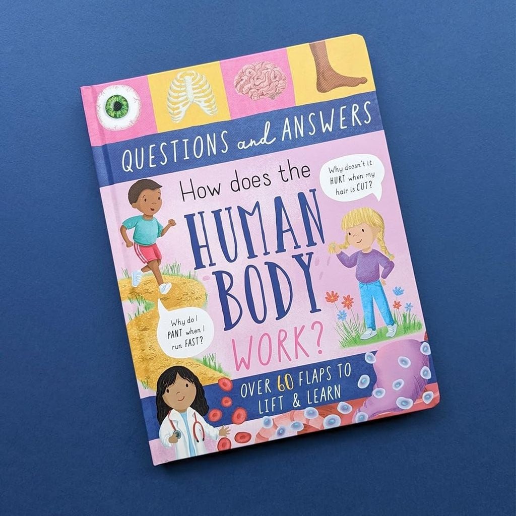 Large Q&A Flap Book - Human Body