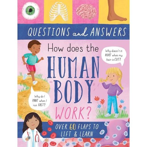 Large Q&A Flap Book - Human Body