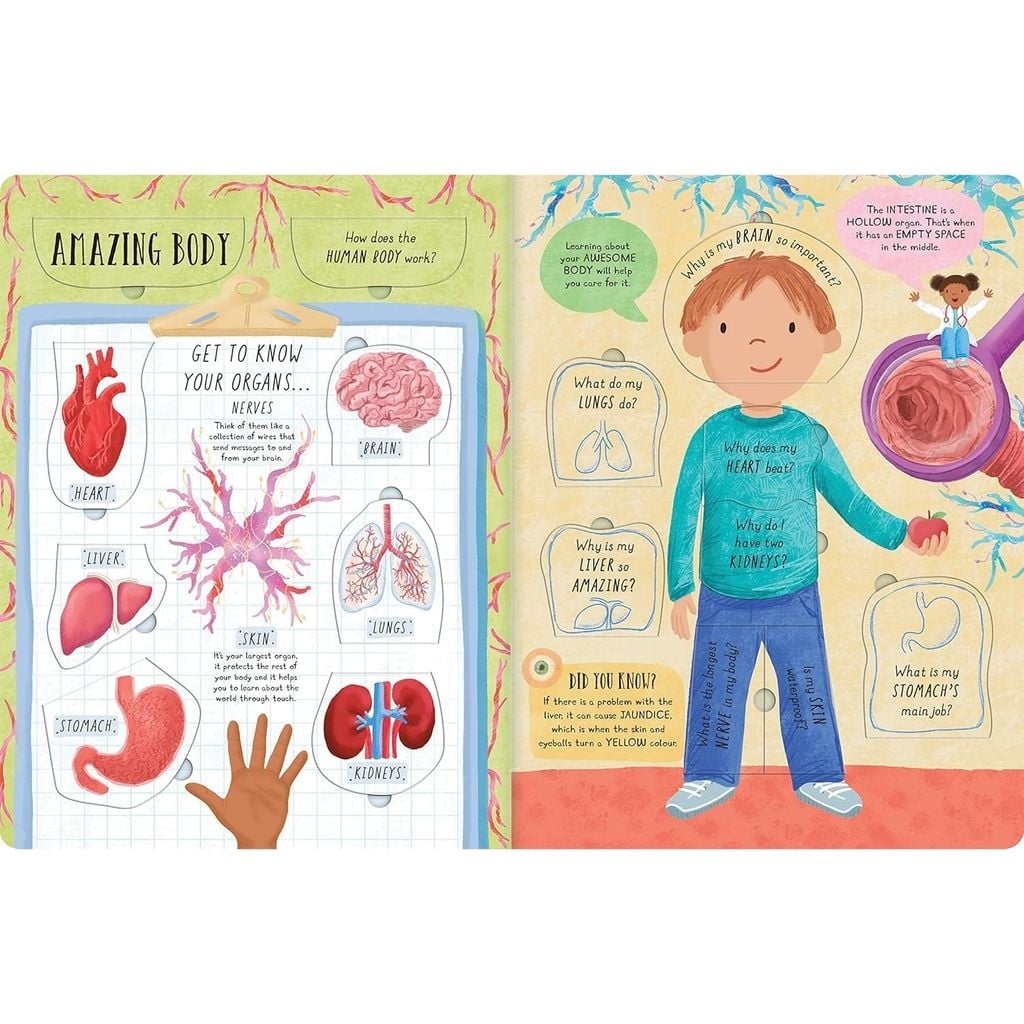 Large Q&A Flap Book - Human Body