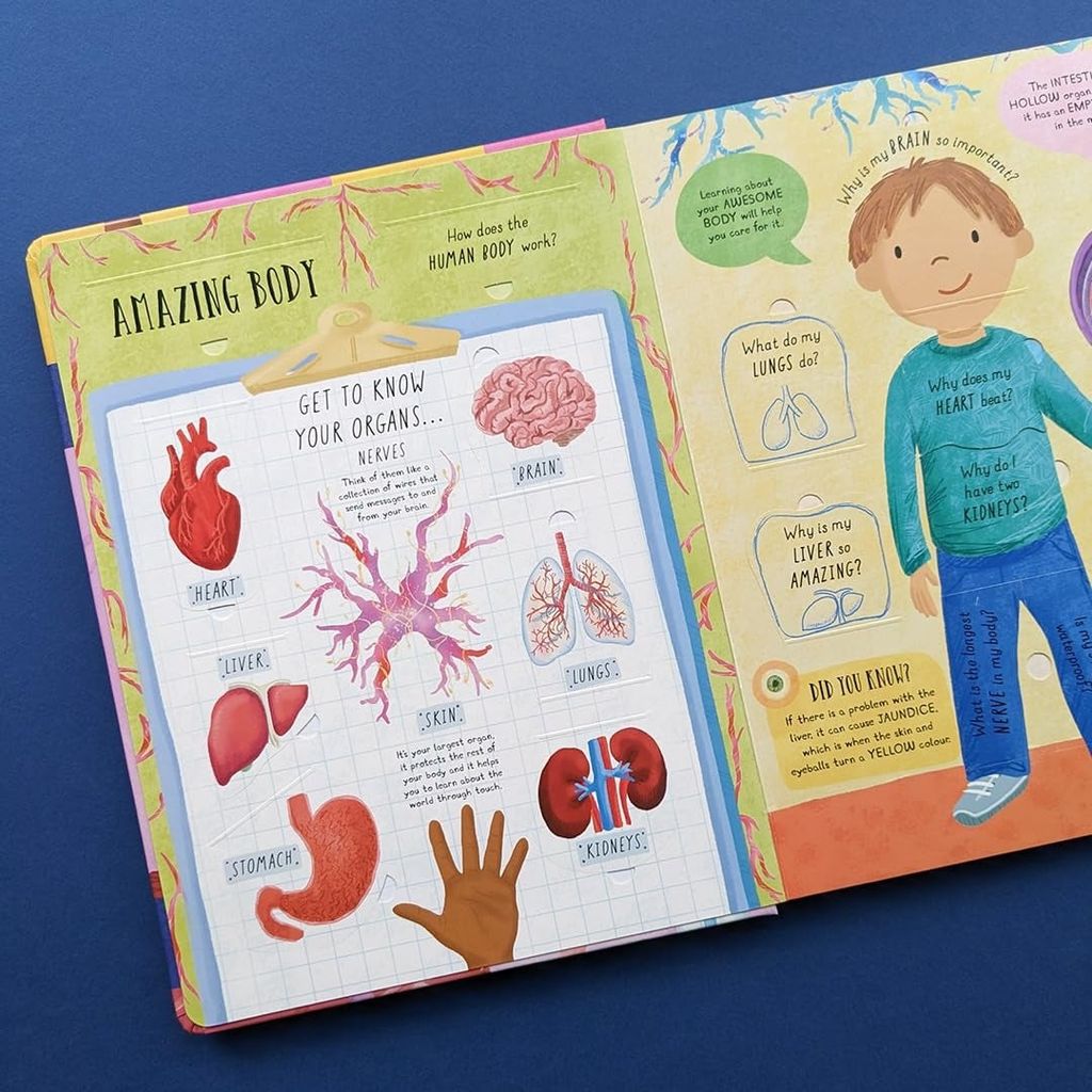 Large Q&A Flap Book - Human Body