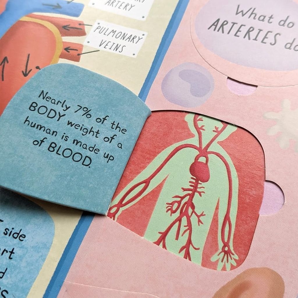 Large Q&A Flap Book - Human Body