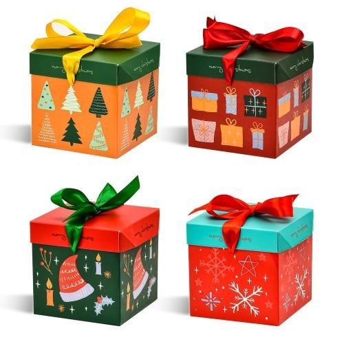 Túi Quà Lớn Box-101 ( Giao Mẫu Ngẫu Nhiên)