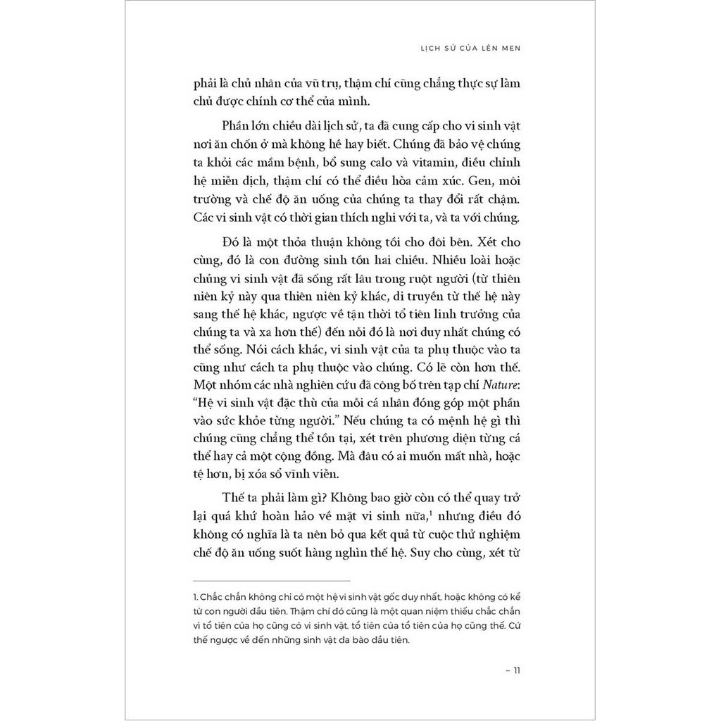 Lịch Sử Của Lên Men - Cách Thực Phẩm Truyền Thống Nuôi Dưỡng Hệ Vi Sinh