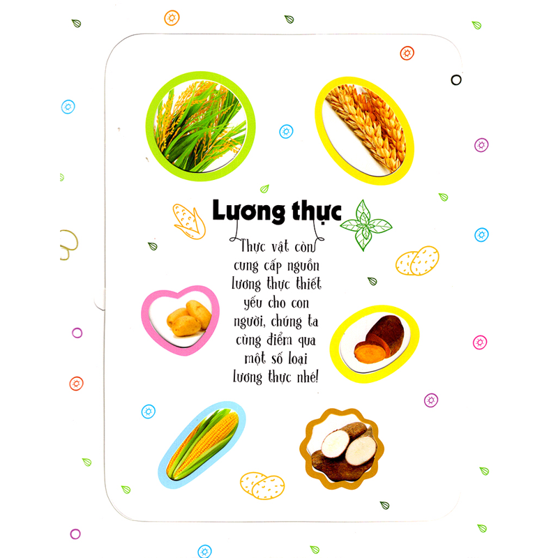 Lift the Flap-100 Từ Đầu Tiên Về Thế Giới Thực Vật