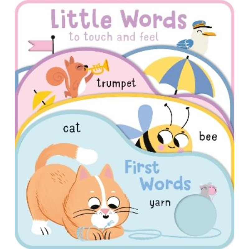 First Words (Little Words To Touch And Feel)
