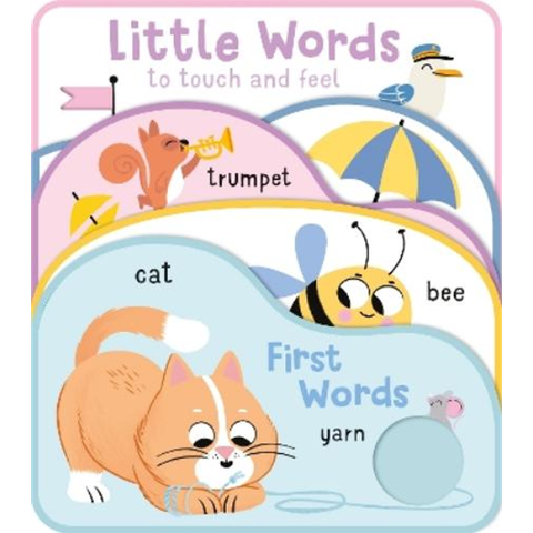 First Words (Little Words To Touch And Feel)
