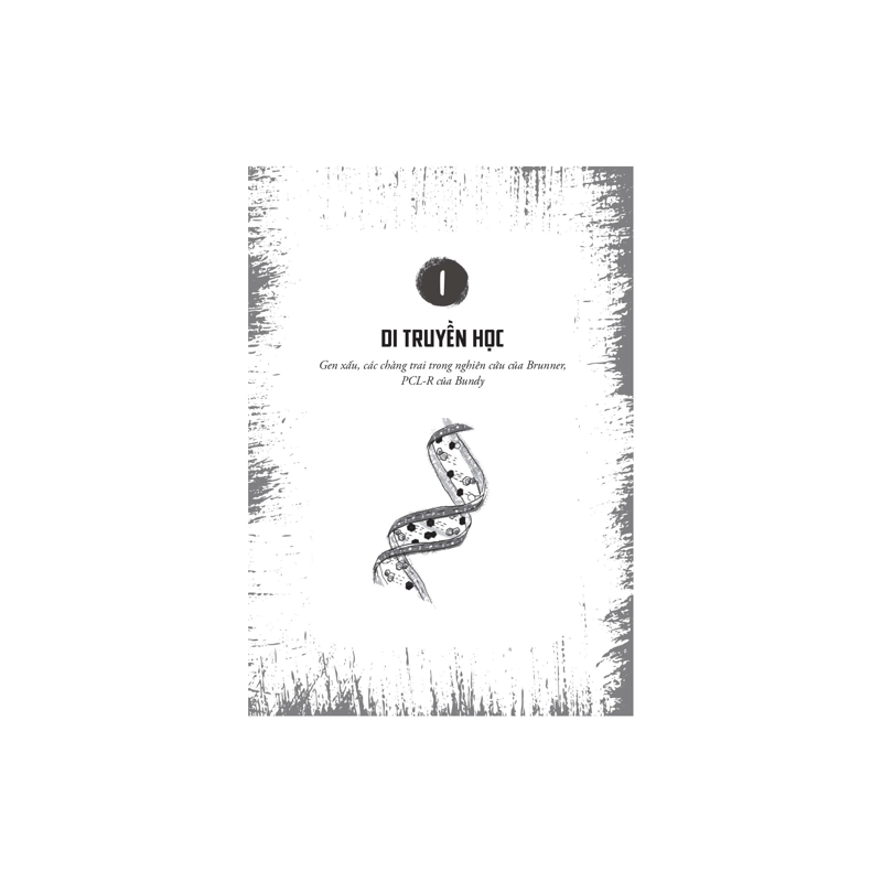 Lò Mổ Linh Hồn (Bỏ Túi)