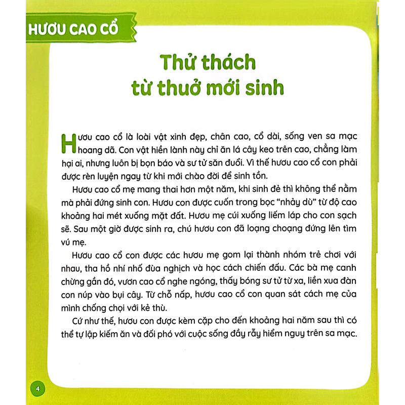 Lớn Lên Trong Lòng Mẹ