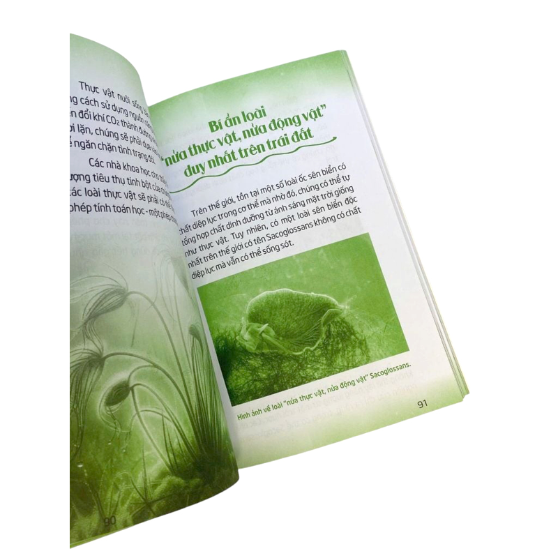 Mãi Mãi Là Bí Ẩn-Bí Ẩn Về Động Thực Vật
