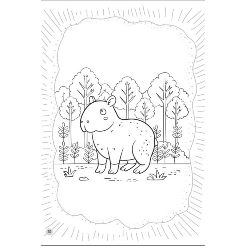 Bé Tô Màu Capybara Bộ Trưởng Bộ Ngoại Giao Cuộc Sống Muôn Màu
