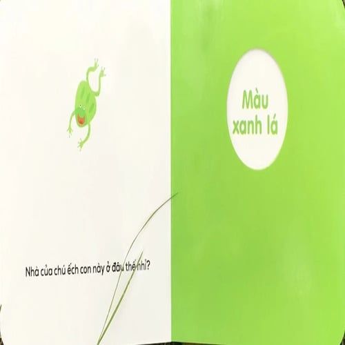 MÀU SẮC-Ô CỬA DIỆU KÌ