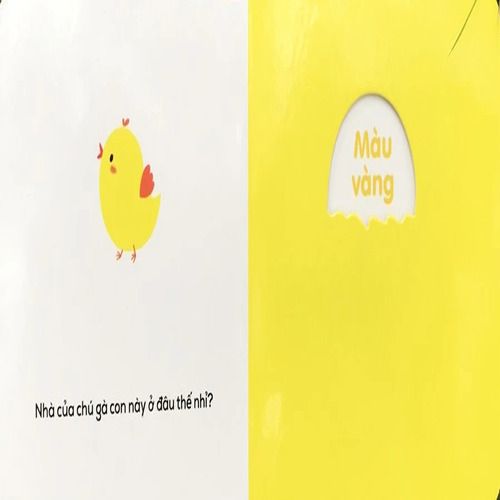 MÀU SẮC-Ô CỬA DIỆU KÌ