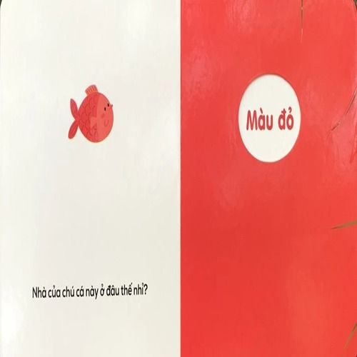 MÀU SẮC-Ô CỬA DIỆU KÌ