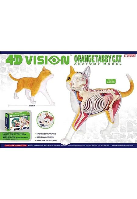 Mô Hình 4D Con Mèo 26008