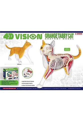 Mô Hình 4D Con Mèo 26008