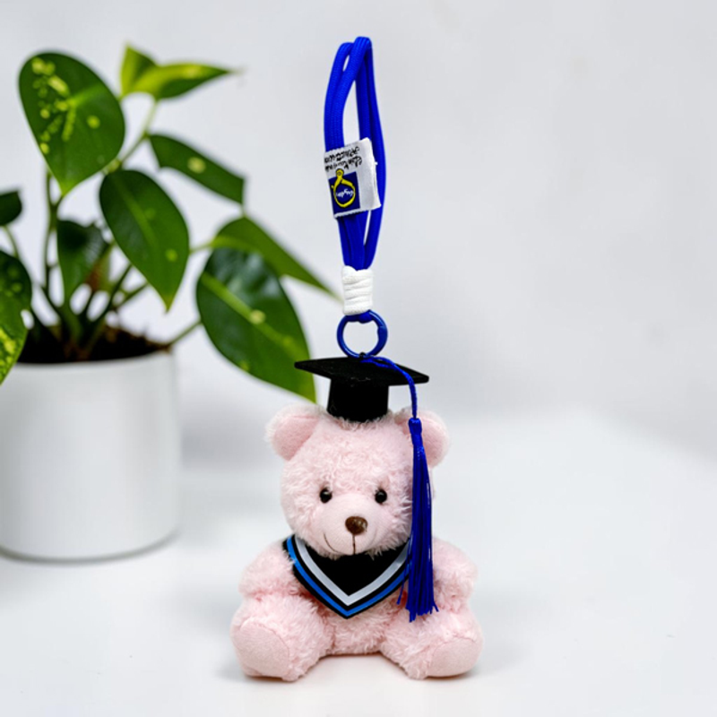 Móc Khoá Bông Gấu Teddy Tốt Nghiệp 4m - 8526