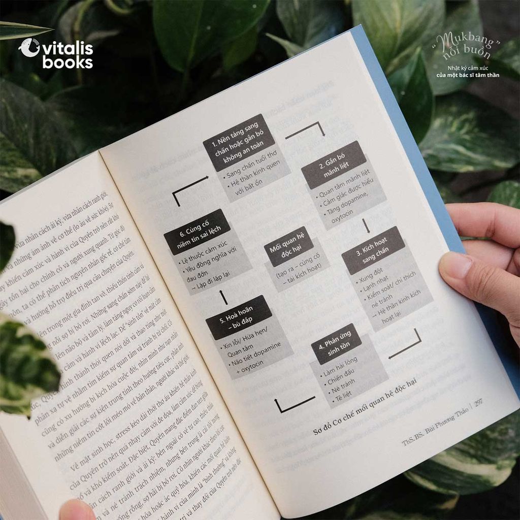 “Mukbang” Nỗi Buồn