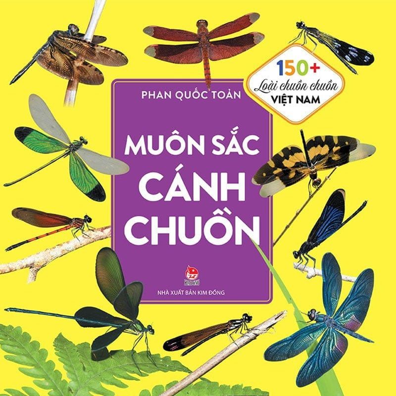 Muôn Sắc Cánh Chuồn - 150+ Loài Chuồn Chuồn Việt Nam