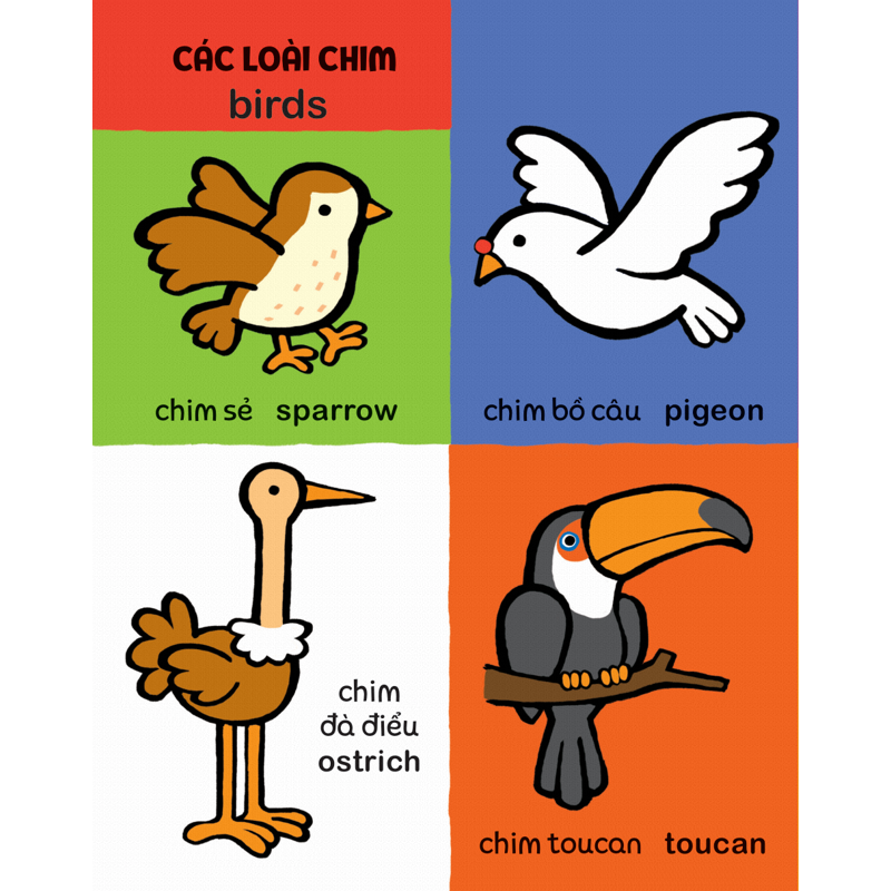My First 100 Animals - Thế Giới Động Vật