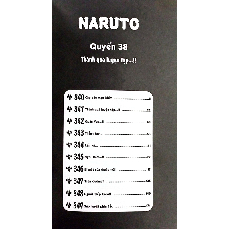 Naruto T38