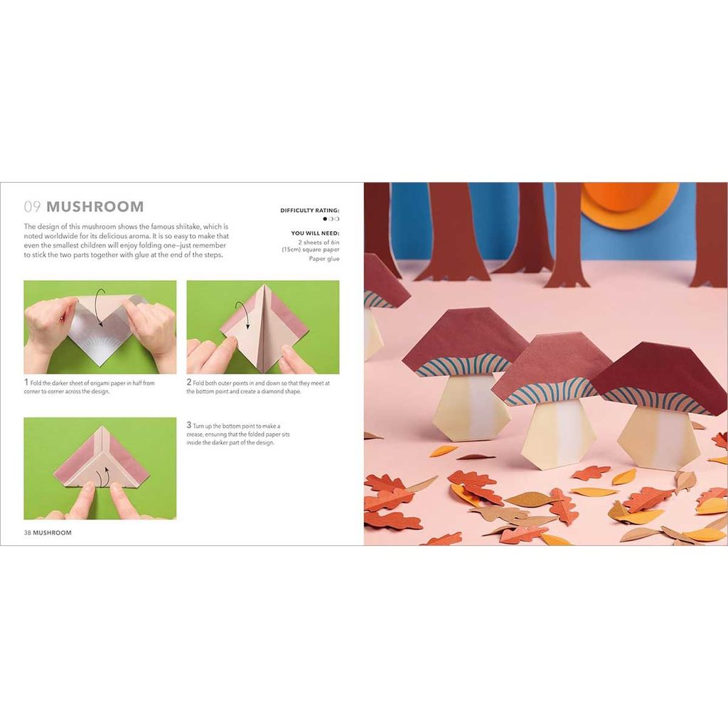 Nature Origami: Paper block plus 64-page book